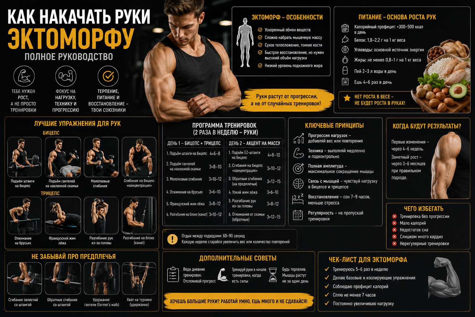 Как накачать руки эктоморфу 