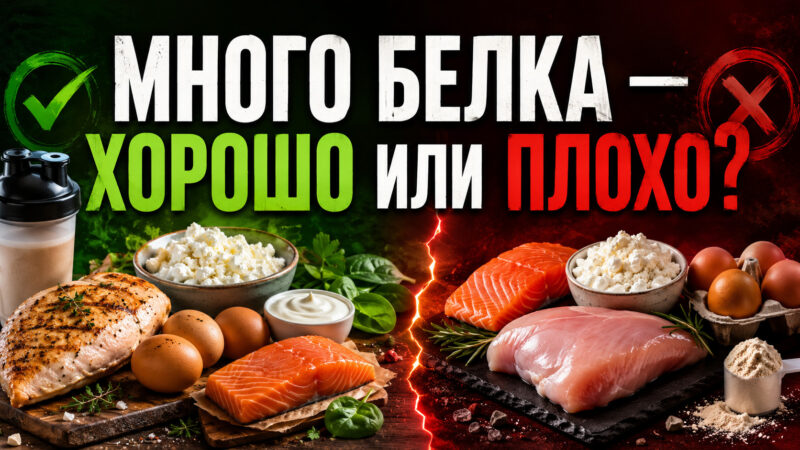 Много белка — хорошо или плохо