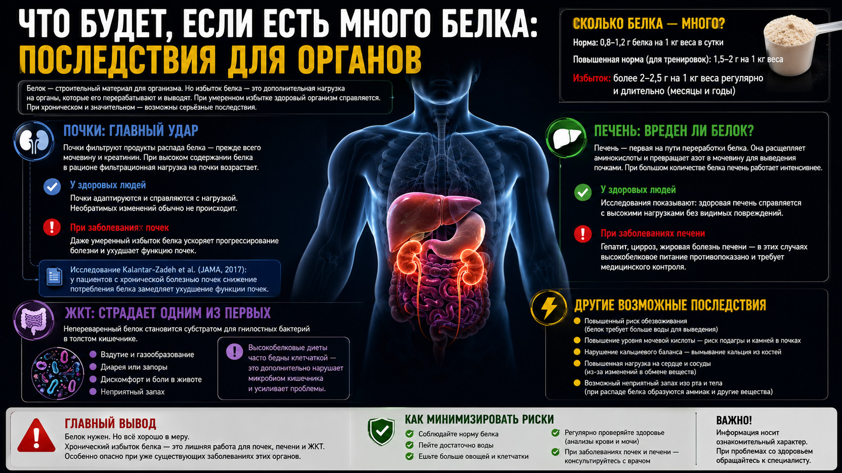 Избыток белка и его последствия